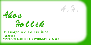 akos hollik business card